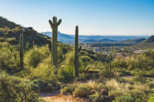 Scottsdale’s Architectural Landscape: How to Build a Home That Honors the Desert