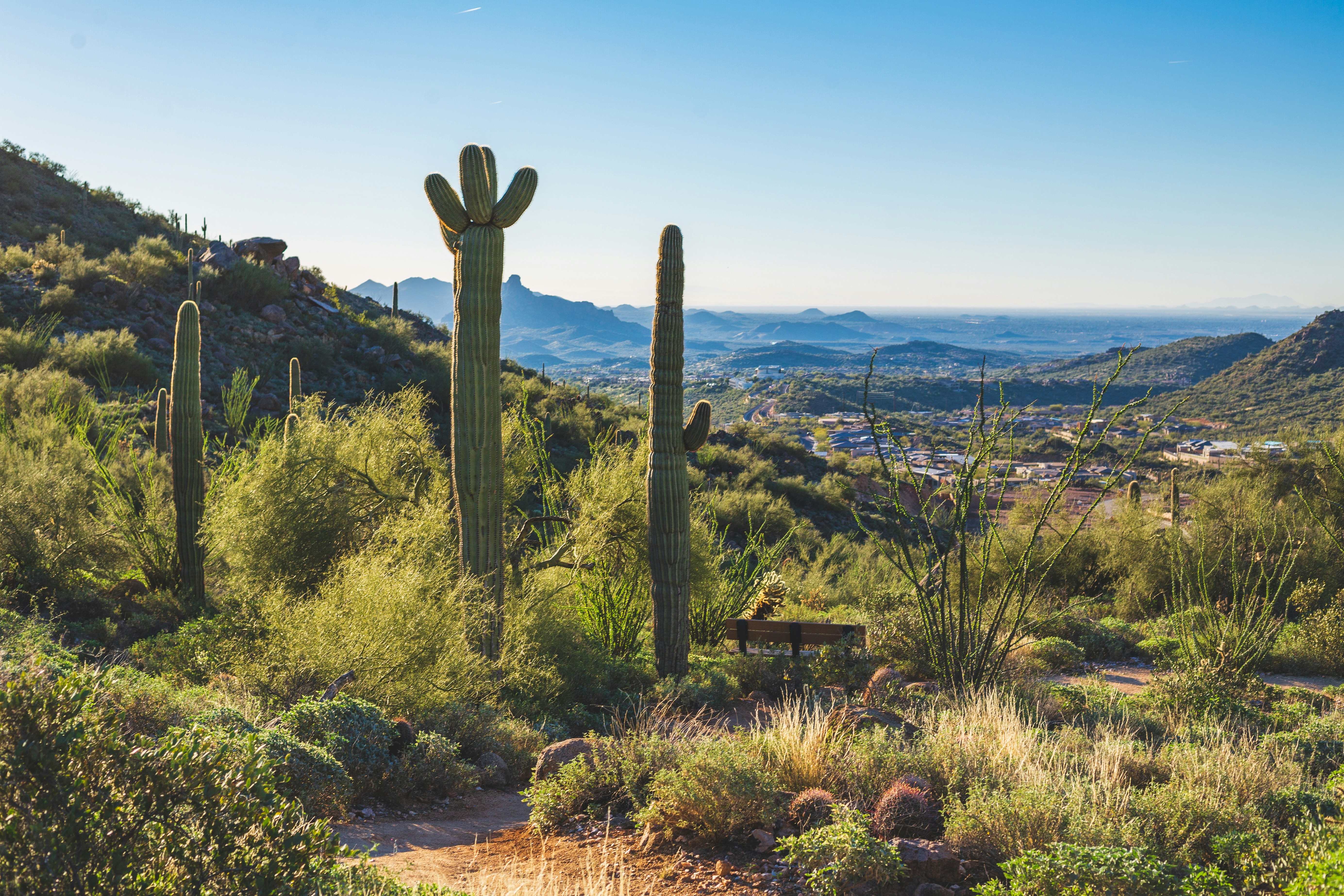 Scottsdale's Architectural Landscape: How to Build a Home That Honors the Desert